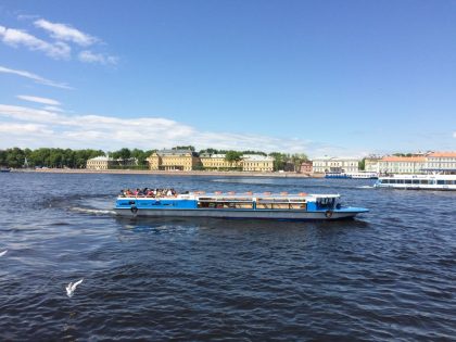Цесаревич