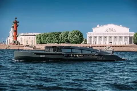 Инкогнито